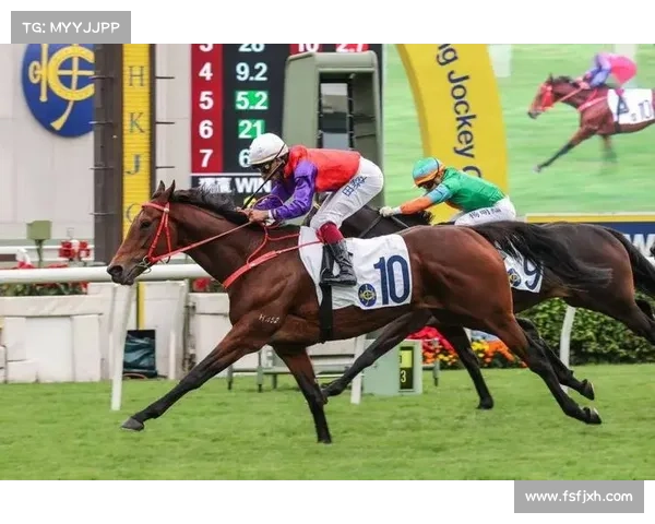 香港国际赛事-今日香港赛事风云激荡勇者争锋精彩瞬间万众瞩目